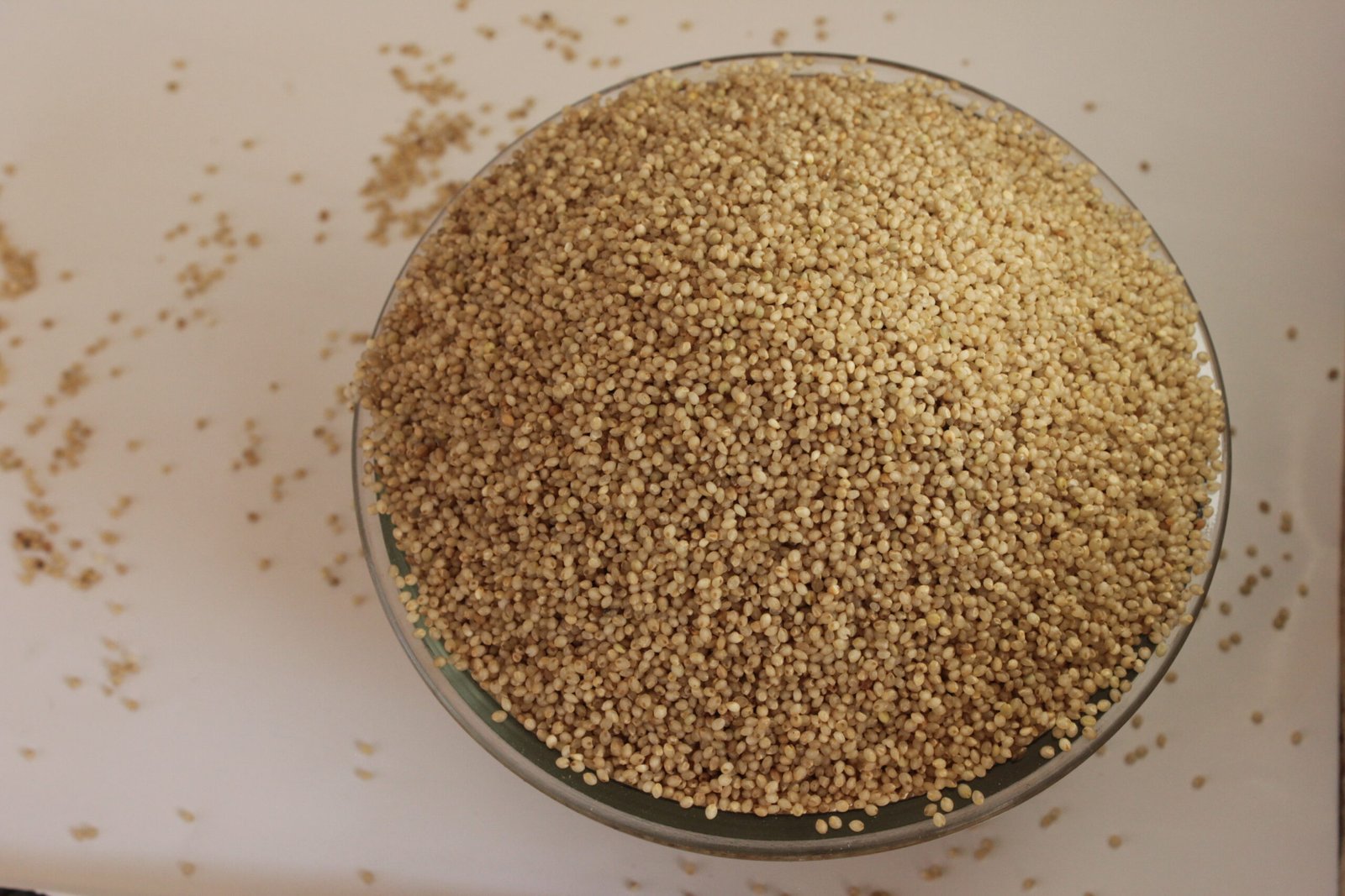 Kuthiraivali (Barnyard Millet) - Image 3