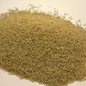 Samai (Little Millet)