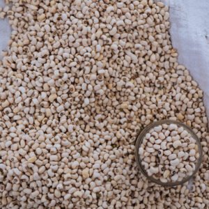 White Jowar (Sorghum)