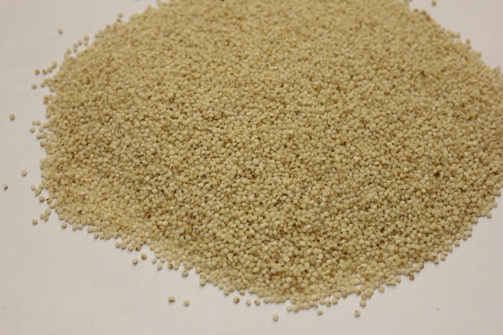 Varagu (Kodo Millet)